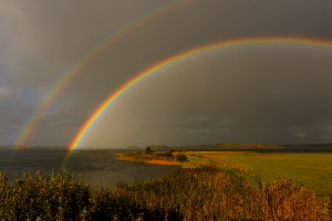 Regenbogen