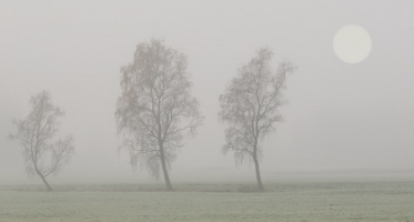 Nebel