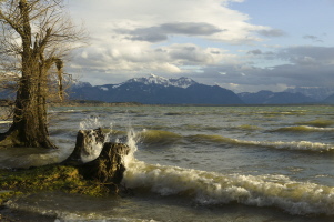 Chiemsee